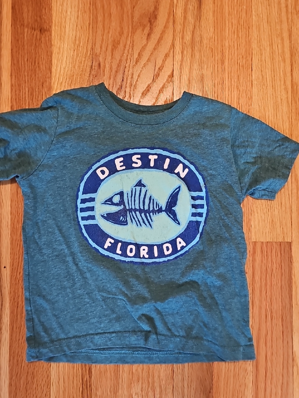 Kids Destin Florida Fish Graphic Tee - Blue